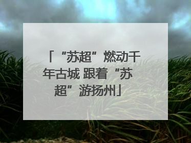 “苏超”燃动千年古城 跟着“苏超”游扬州