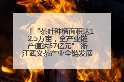 “茶叶种植面积达12.5万亩，全产业链产值达57亿元” 浙江武义茶产业全链发展“加速度”
