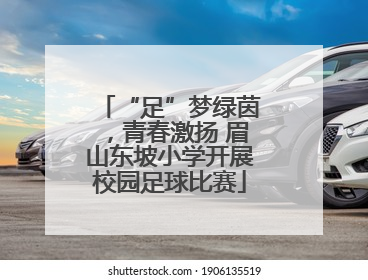 “足”梦绿茵,青春激扬 眉山东坡小学开展校园足球比赛