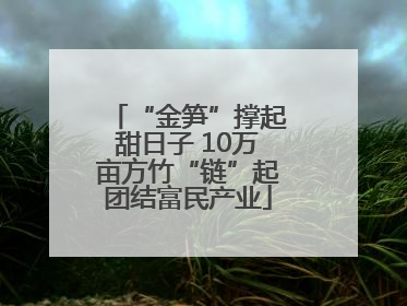 “金笋”撑起甜日子 10万亩方竹“链”起团结富民产业