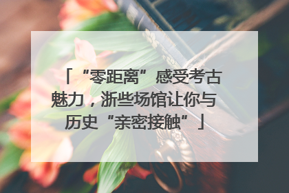 “零距离”感受考古魅力，浙些场馆让你与历史“亲密接触”