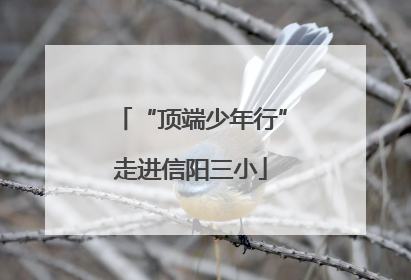 “顶端少年行”走进信阳三小