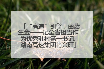 “高速”引擎，菌菇生金——记全省担当作为优秀驻村第一书记、湖南高速集团肖兴旺