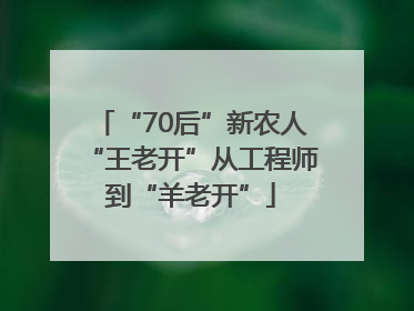 “70后”新农人“王老开”从工程师到“羊老开”