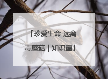 珍爱生命 远离毒蘑菇｜知识窗