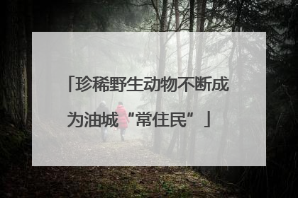 珍稀野生动物不断成为油城“常住民”