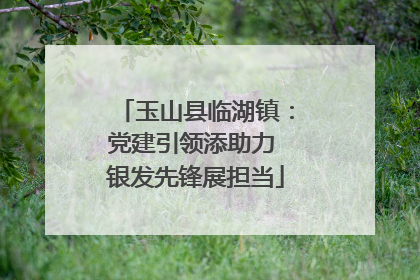 玉山县临湖镇：党建引领添助力 银发先锋展担当