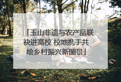 玉山非遗与农产品联袂进高校 校地携手共绘乡村振兴新图景