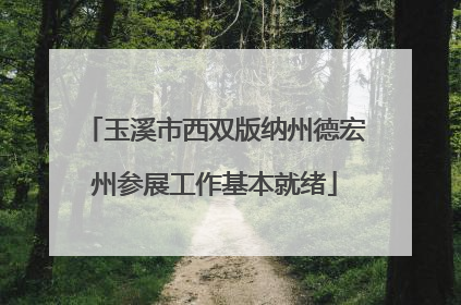 玉溪市西双版纳州德宏州参展工作基本就绪