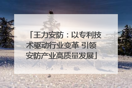王力安防：以专利技术驱动行业变革 引领安防产业高质量发展