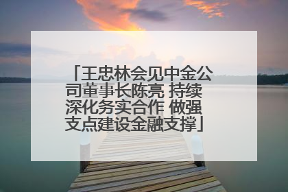王忠林会见中金公司董事长陈亮 持续深化务实合作 做强支点建设金融支撑