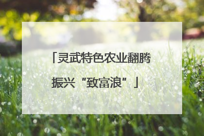 灵武特色农业翻腾振兴“致富浪”