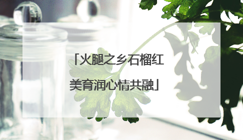 火腿之乡石榴红 美育润心情共融