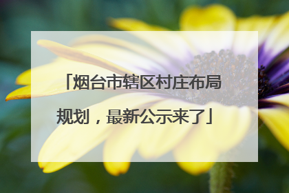 烟台市辖区村庄布局规划，最新公示来了