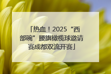 热血！2025“西部碗”腰旗橄榄球邀请赛成都双流开赛