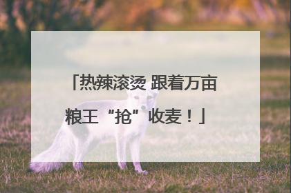 热辣滚烫 跟着万亩粮王“抢”收麦！