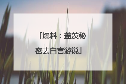 爆料：盖茨秘密去白宫游说