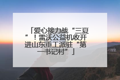 爱心接力战“三夏”！雷沃公益机收开进山东重工派驻“第一书记村”