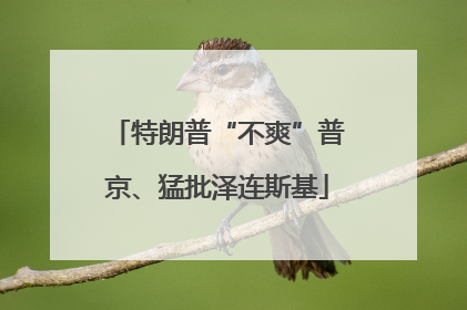 特朗普“不爽”普京、猛批泽连斯基