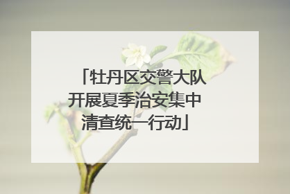 牡丹区交警大队开展夏季治安集中清查统一行动
