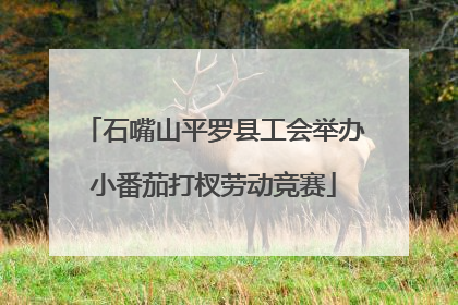 石嘴山平罗县工会举办小番茄打杈劳动竞赛