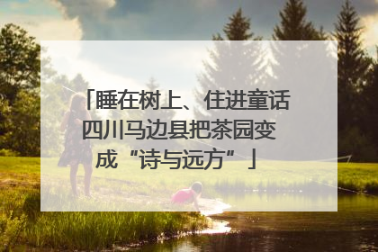 睡在树上、住进童话 四川马边县把茶园变成“诗与远方”