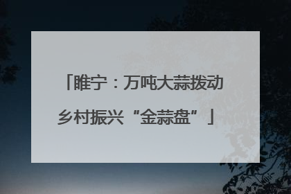 睢宁：万吨大蒜拨动乡村振兴“金蒜盘”
