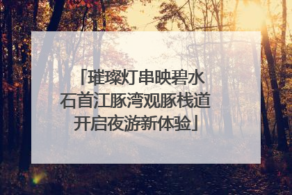 璀璨灯串映碧水 石首江豚湾观豚栈道开启夜游新体验
