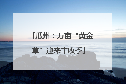 瓜州：万亩“黄金草”迎来丰收季