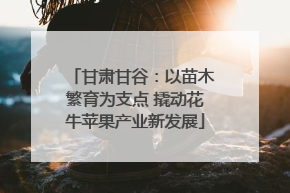 甘肃甘谷：以苗木繁育为支点 撬动花牛苹果产业新发展
