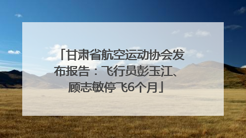 甘肃省航空运动协会发布报告：飞行员彭玉江、顾志敏停飞6个月
