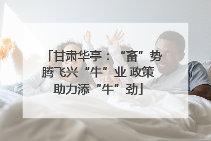 甘肃华亭：“畜”势腾飞兴“牛”业 政策助力添“牛”劲