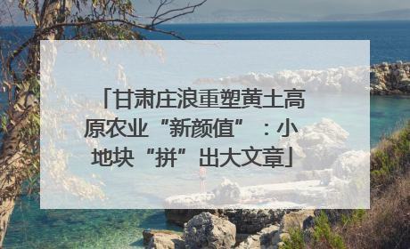 甘肃庄浪重塑黄土高原农业“新颜值”：小地块“拼”出大文章