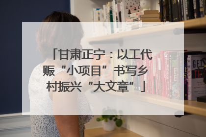 甘肃正宁：以工代赈“小项目”书写乡村振兴“大文章”