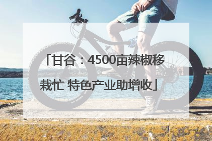 甘谷：4500亩辣椒移栽忙 特色产业助增收