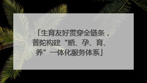 生育友好贯穿全链条，普陀构建“婚、孕、育、养”一体化服务体系