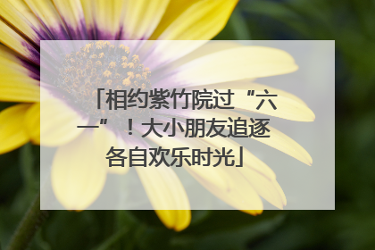 相约紫竹院过“六一”！大小朋友追逐各自欢乐时光