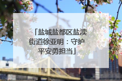盐城盐都区盐渎街道徐亚明：守护平安勇担当