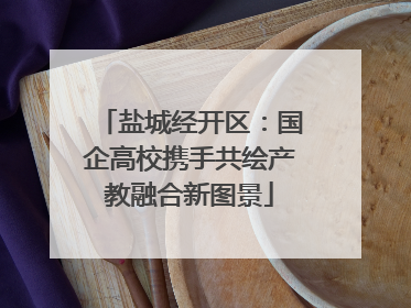 盐城经开区：国企高校携手共绘产教融合新图景