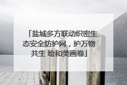 盐城多方联动织密生态安全防护网，护万物共生 绘和美画卷
