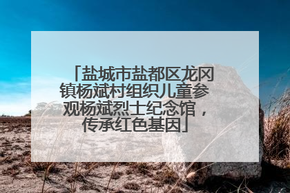 盐城市盐都区龙冈镇杨斌村组织儿童参观杨斌烈士纪念馆，传承红色基因