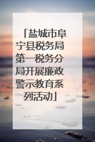盐城市阜宁县税务局第一税务分局开展廉政警示教育系列活动