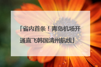省内首条！青岛机场开通直飞韩国清州航线