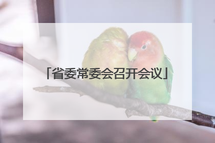 省委常委会召开会议