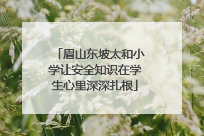 眉山东坡太和小学让安全知识在学生心里深深扎根