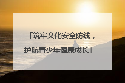 筑牢文化安全防线，护航青少年健康成长