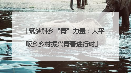 筑梦斛乡“青”力量：太平畈乡乡村振兴青春进行时