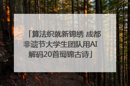 算法织就新锦绣 成都非遗节大学生团队用AI解码20首蜀锦古诗
