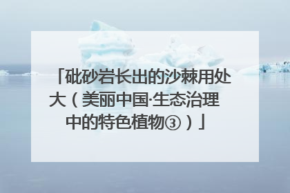 砒砂岩长出的沙棘用处大（美丽中国·生态治理中的特色植物③）