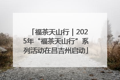 福茶天山行｜2025年“福茶天山行”系列活动在昌吉州启动